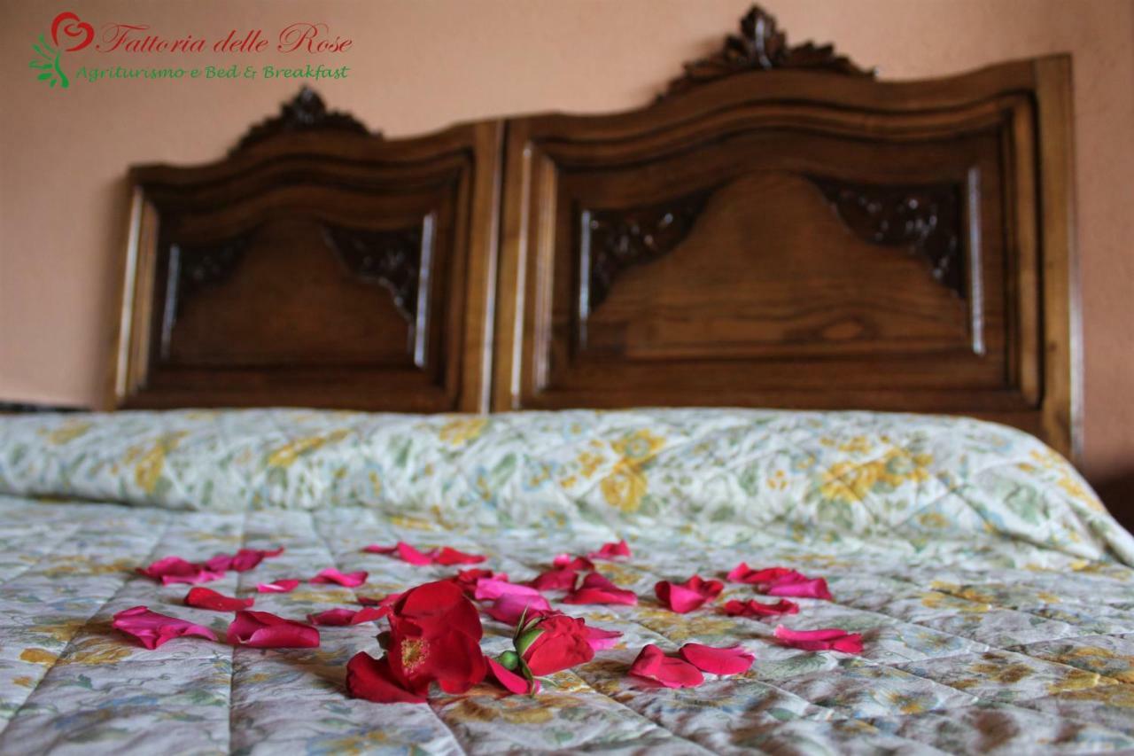 Fattoria Delle Rose Villa Salussola Buitenkant foto