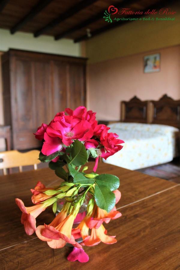 Fattoria Delle Rose Villa Salussola Kamer foto