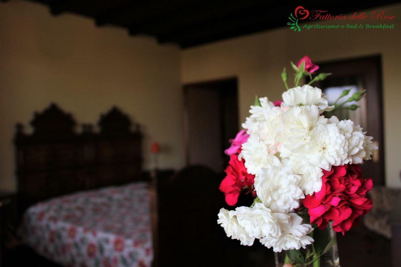 Fattoria Delle Rose Villa Salussola Buitenkant foto